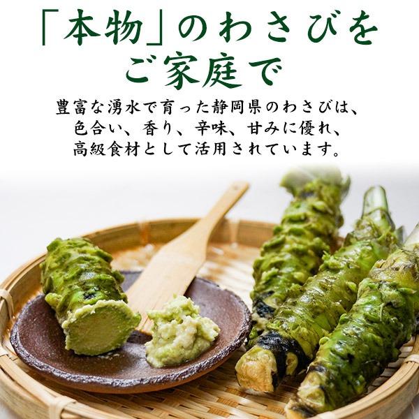 本わさび 静岡産 大 2本 約100〜120g×2 生わさび 冷蔵 ワサビ