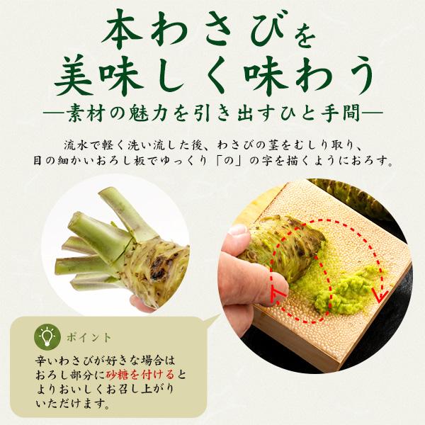 食品 本わさび 農家直送