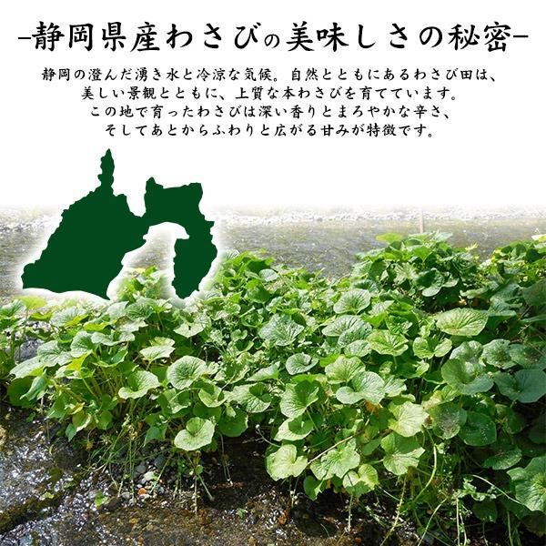 本わさび 静岡産 大 3本 約100〜120g×3 静岡 生わさび 冷蔵