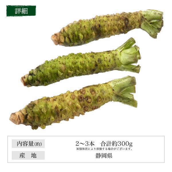 静岡県産 本わさび わさび 大サイズ 2〜3本 合計約300g 生わさび 山葵