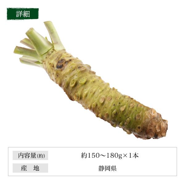 本わさび 超特大 約150g〜180g 1本 静岡県産 生わさび わさび ワサビ