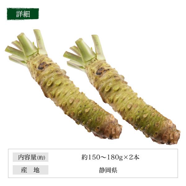 本わさび 超特大 約150g〜180g 2本 静岡県産 生わさび わさび ワサビ