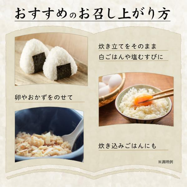 コシヒカリ 魚沼産コシヒカリ 無洗米 新潟産 1合×20袋 個包装 真空