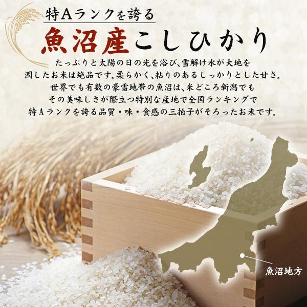 コシヒカリ 魚沼産コシヒカリ 無洗米 新潟産 1合×5袋 個包装 真空