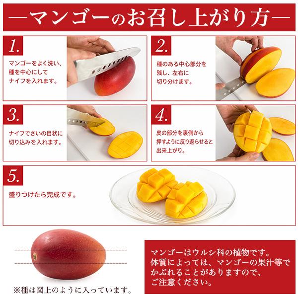 マンゴー 宮崎マンゴー 4L 1玉 500g以上 完熟マンゴー 宮崎県産 国産
