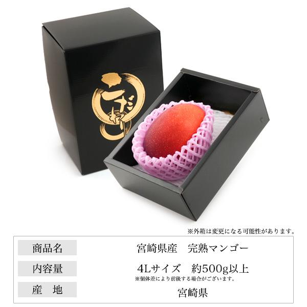 マンゴー 宮崎マンゴー 4L 1玉 500g以上 完熟マンゴー 宮崎県産 国産