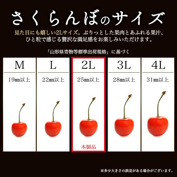お中元 さくらんぼ 佐藤錦 紅秀峰 山形県 北海道 2Lサイズ 秀品 20粒