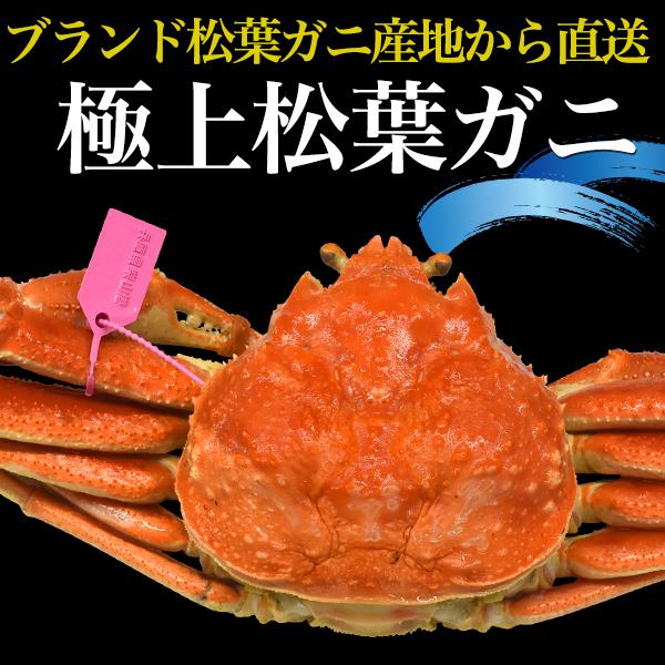 最新の激安 訳あり 2杯 800 900g 姿 松葉ガニ ゆで ズワイガニ お得 お取り寄せグルメ ズワイガニ 格安 訳あり 姿 蟹 足折れ 産地直送 冷蔵便 蟹 カニ 国産 兵庫県産 カニ