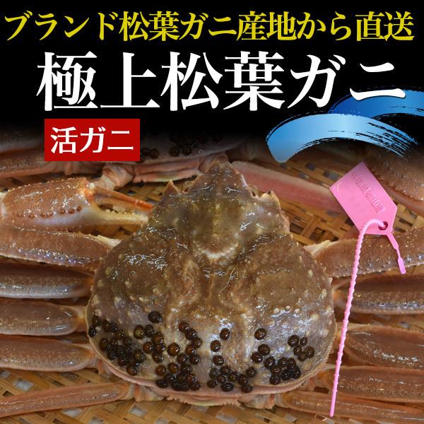 あなたにおすすめの商品 冷蔵便 産地直送 蟹 カニ 国産 兵庫県産 グルメ お取り寄せ タグ付き 700 800g 姿 生 ズワイガニ 活松葉ガニ ギフト お取り寄せグルメ 産地直送 冷蔵 かに カニ ずわい蟹 カニ Meorboston Org