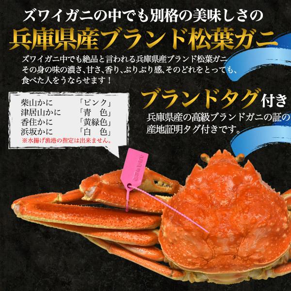松葉ガニ ズワイガニ 釜ゆで 姿 600 700g 2杯 産地タグ付き お取り寄せ 冷凍 産地直送 兵庫県産 蟹 カニ 新作 人気 国産 グルメ