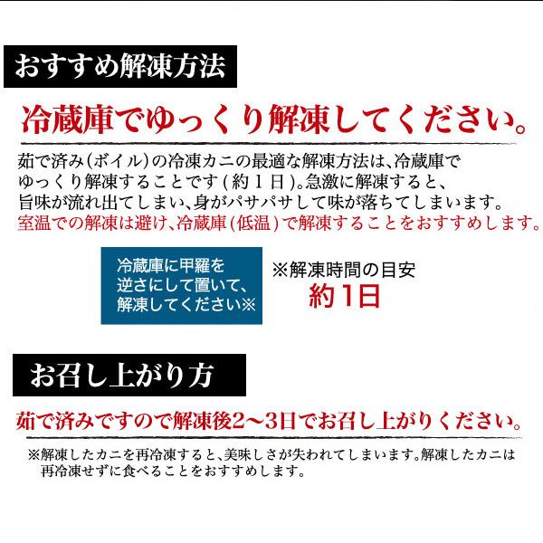カニ セコガニ 冷凍 訳あり 4~5杯セット 計500g 松葉ガニ
