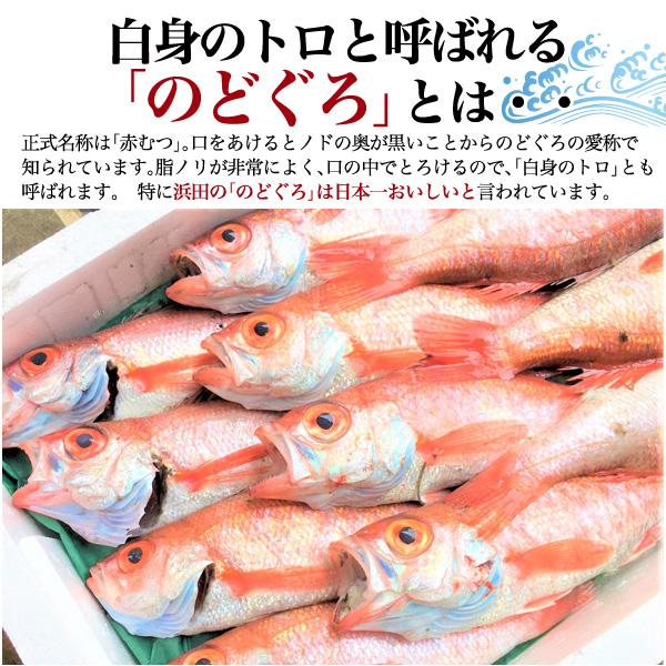 のどぐろ 干物 魚 冷蔵 200〜230g×2枚 ノーフローズン 国産 山陰 島根 浜田 一夜干し ギフト 贈答用 贈り物 母の日 お中元 お歳暮 食品｜n-style｜05