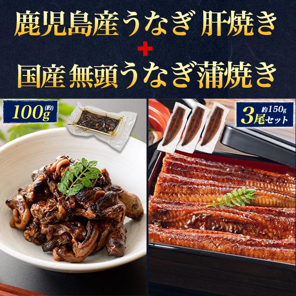 うなぎ 国産 蒲焼き 3尾 150g×3 計450g 無頭 肝焼き100g付 鹿児島県産