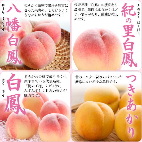 桃 あら川の桃 ギフト 品種お任せ 約4kg 最上等級 赤秀 果物