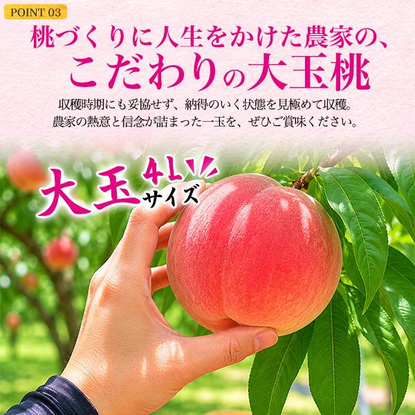 桃 あら川の桃 和歌山県産 お中元 2026 赤秀品 4Lサイズ 2玉 完熟桃