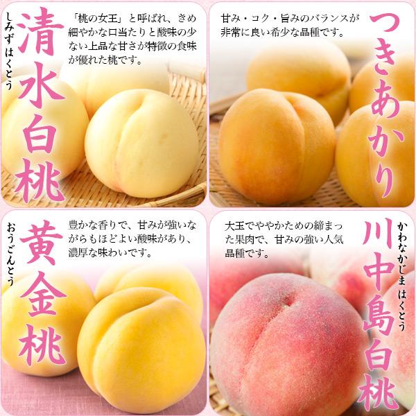 桃 あら川の桃 和歌山県産 お中元 2026 赤秀品 4Lサイズ 2玉 完熟桃