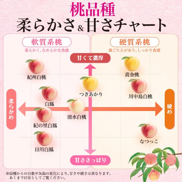桃 あら川の桃 和歌山県産 お中元 2026 赤秀品 4Lサイズ 2玉 完熟桃