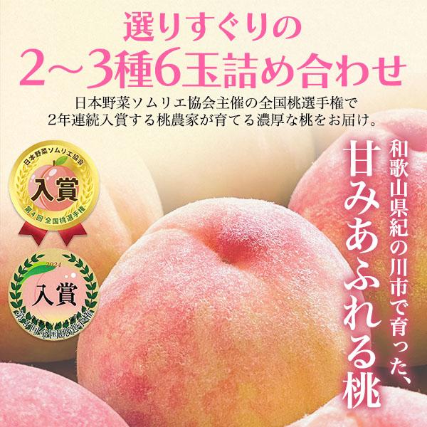 お中元 2026 桃 ギフト 和歌山産 旬の桃食べ比べセット 赤秀品 6玉 も