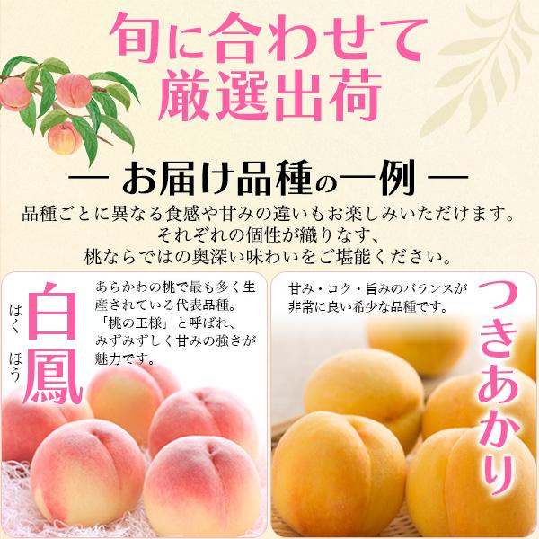 お中元 2026 桃 ギフト 和歌山産 旬の桃食べ比べセット 赤秀品 6玉 も