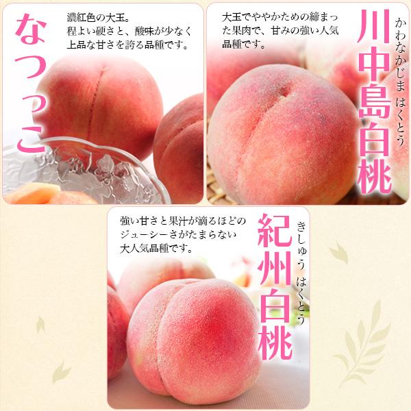 お中元 2026 桃 ギフト 和歌山産 旬の桃食べ比べセット 赤秀品 6玉 も