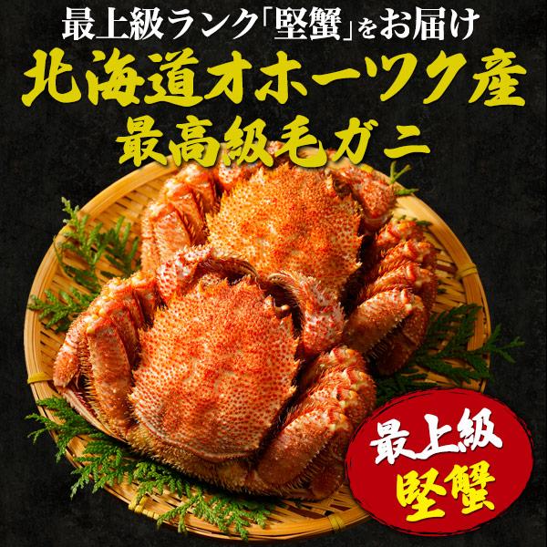北海道産毛ガニ360g×2 ギフト カニ 毛ガニ 北海道 2杯セット 毛蟹 計約1?1.1kg ボイル 最高級