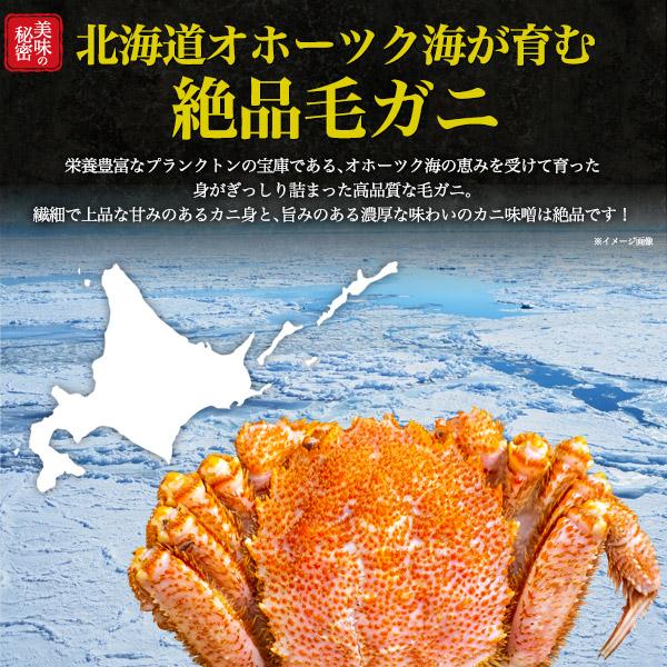 ギフト カニ 毛ガニ 北海道 2杯セット 毛蟹 計約1?1.1kg ボイル 最高級