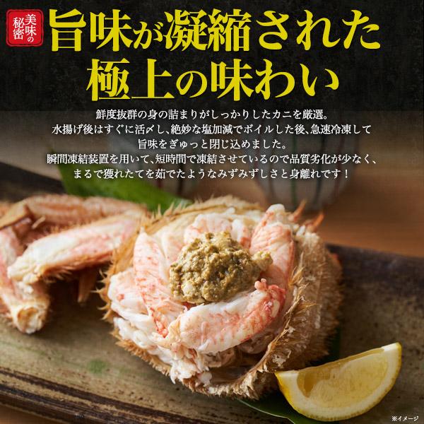 送料無料！ケイン様限定 画像のお品５枚組＆オマケ付き 5連大皿 | 山形工房けん玉SHOP