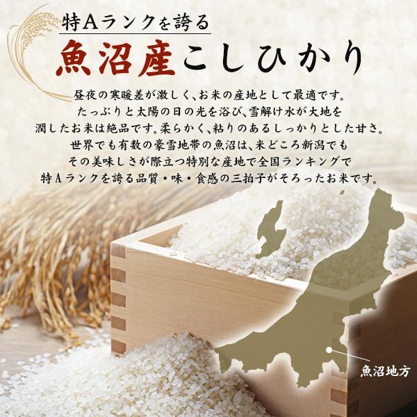コシヒカリ お米 魚沼産コシヒカリ 2kg 令和7年産 白米 こしひかり