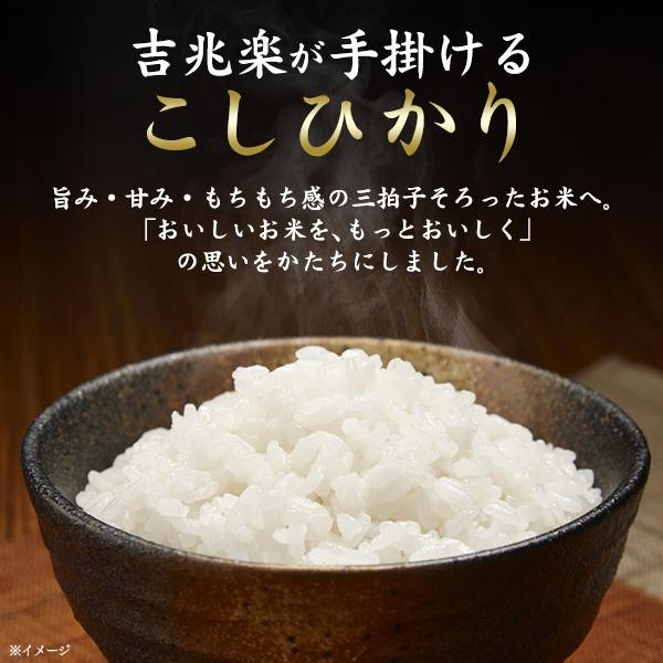 コシヒカリ お米 新潟産コシヒカリ 4kg 令和7年産 白米 こしひかり