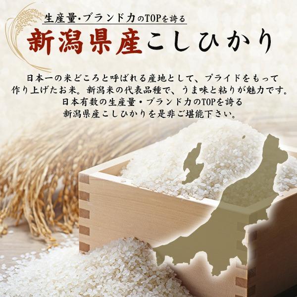 コシヒカリ お米 新潟産コシヒカリ 4kg 令和7年産 白米 こしひかり