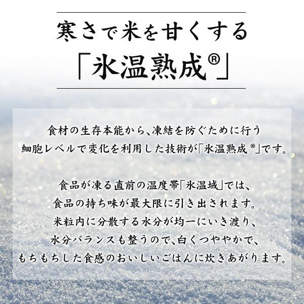 コシヒカリ お米 新潟産コシヒカリ 4kg 令和7年産 白米 こしひかり