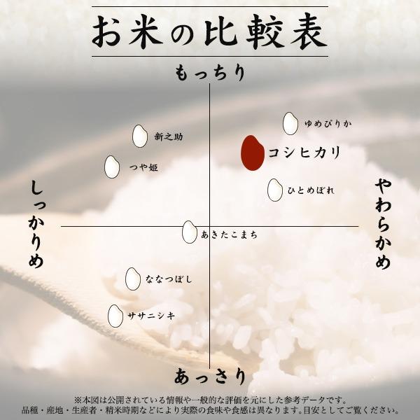 コシヒカリ お米 新潟産コシヒカリ 4kg 令和7年産 白米 こしひかり