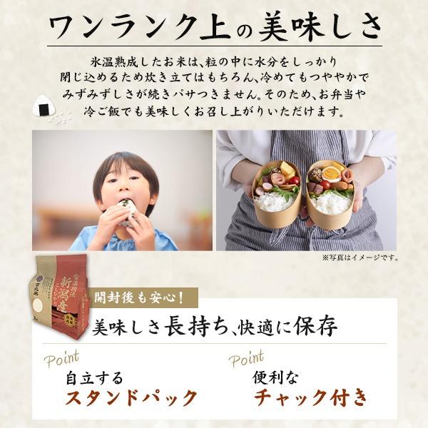 コシヒカリ お米 新潟産コシヒカリ 4kg 令和7年産 白米 こしひかり