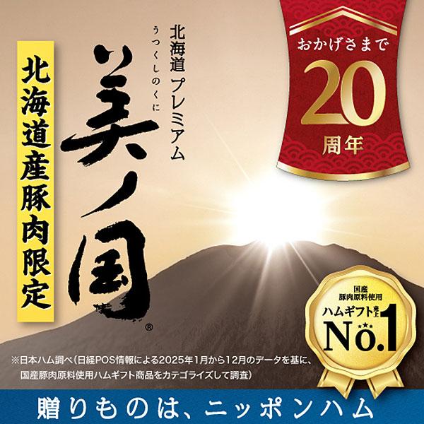 日本ハム（Nipponham） お中元 2026 ハムギフト 北海道プレミアム 美ノ