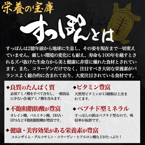 鍋セット すっぽん すっぽん鍋 鹿児島産 700g 3?4人前 冷蔵便 海鮮鍋 コラーゲン 朝締め スッポン お取り寄せグルメ 国産 ギフト 爆買の画像