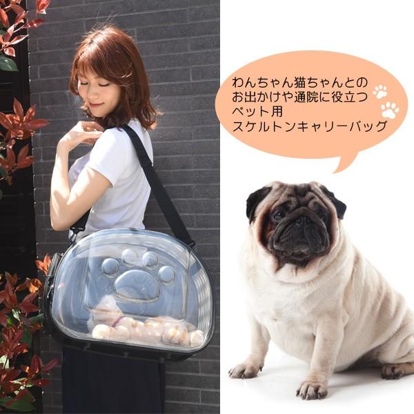 ペット用キャリーバッグ 犬 猫 スケルトン ショルダー ボストン 2WAY