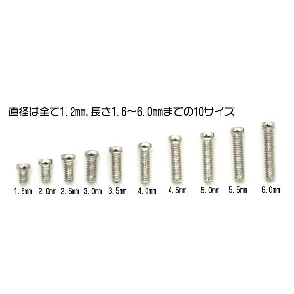 時計用精密ネジ 10サイズセット ステンレスネジ 直径1.2mm 長さ1.6