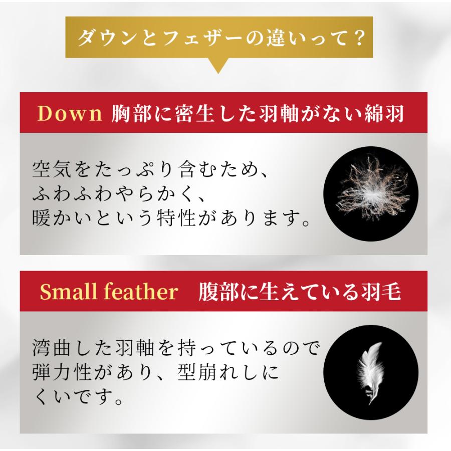 300円OFFクーポン 掛け布団 冬 ダブル 羽毛布団のような暖かさ 羽毛