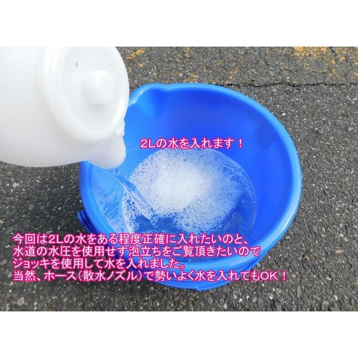 ブラッシュウォッシュ（ドイツ製カーシャンプー） １L　オススメは４００倍〜（沖縄県を除き送料込む）washmaxx BRUSH WASH N・業務用中性高濃縮カーシャンプー｜n2factory｜04