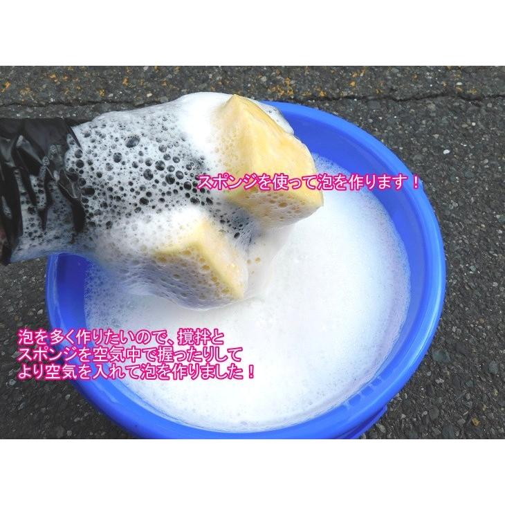 ブラッシュウォッシュ（ドイツ製カーシャンプー） １L　オススメは４００倍〜（沖縄県を除き送料込む）washmaxx BRUSH WASH N・業務用中性高濃縮カーシャンプー |  | 05