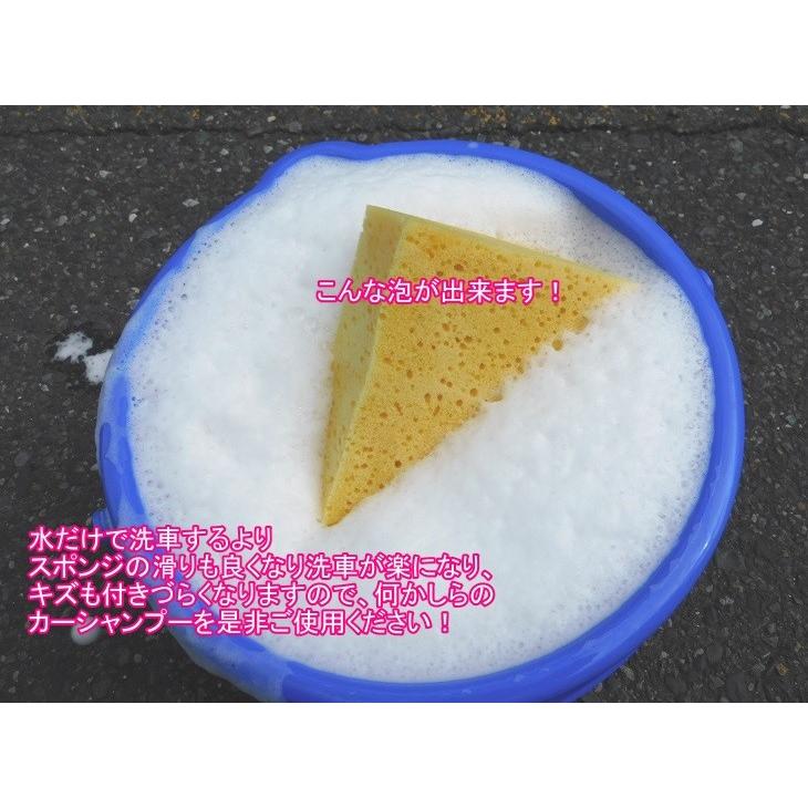 ブラッシュウォッシュ（ドイツ製カーシャンプー） １L　オススメは４００倍〜（沖縄県を除き送料込む）washmaxx BRUSH WASH N・業務用中性高濃縮カーシャンプー |  | 06