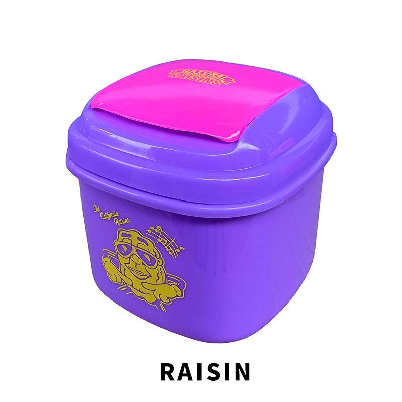 DUST BOX 2L 卓上 ゴミ箱 GARFIELD Mutant Turtles Betty Boop RAISIN