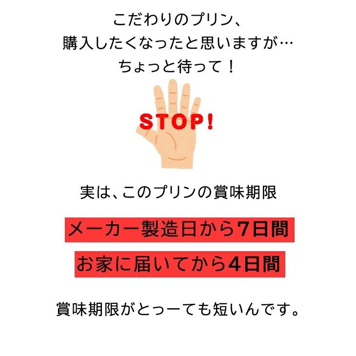 当店限定 当店限定 TVで紹介 プリン スイーツ ギフト のえっぐぷりん ６個セット プリン ぷりん 卵  洋菓子  お歳暮 あべ養鶏場 |  | 05