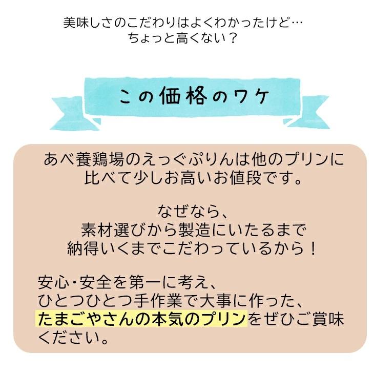 当店限定 当店限定 TVで紹介 プリン スイーツ ギフト のえっぐぷりん ６個セット プリン ぷりん 卵  洋菓子  お歳暮 あべ養鶏場 |  | 08