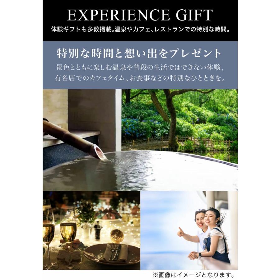 カタログギフト TAKE YOUR CHOICE（テイク・ユア・チョイス） フリージア ギフト ハーモニック 父の日 お中元 御中元｜n43｜06