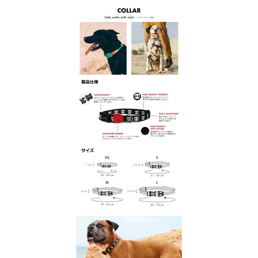 2023　カラー　Mサイズ　首輪　ZEE DOG ジードッグ　zeedog ZEEDOG |  | 02