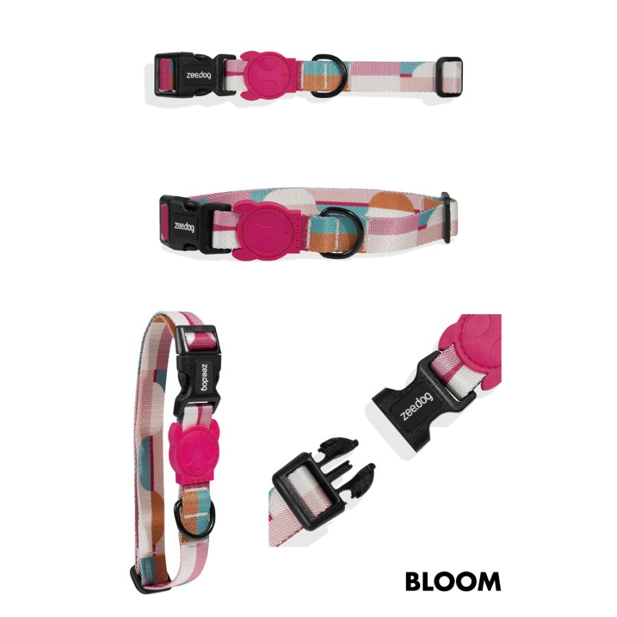 2023 カラー Mサイズ 首輪 ZEE DOG ジードッグ zeedog ZEEDOG : n47