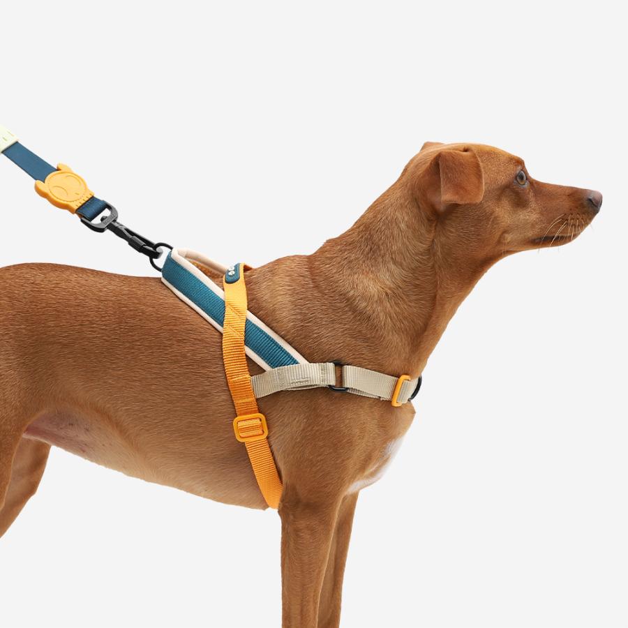 2023 ハーネス Sサイズ ソフターウォークハーネス ZEE DOG ジードッグ