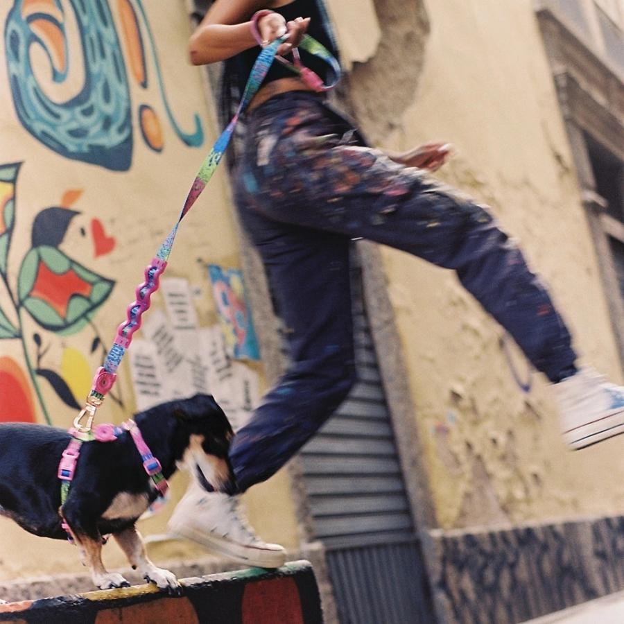 2024 ZEE.TOWN ラフリード Lサイズ ZEE DOG ジードッグ zeedog ZEEDOG 