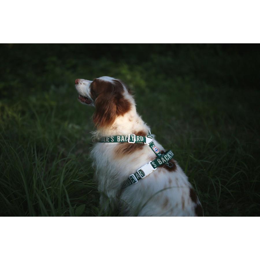 TRIP　HARNESS　M　トリップハーネスM |  | 12